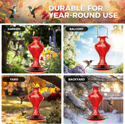 Glass Hummingbird Feeder for Outdoors Hanging, Bird Nectar Feeder with Perch & 5